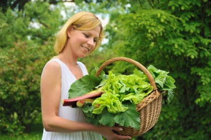 5 Organic Garden Fertilizer Options: How To Have a Healthy, Flourishing Garden Without the Chemicals 