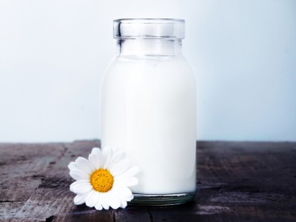 Organic Milk Vs. Regular Milk: Does it Really Matter?