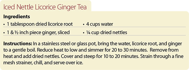 Recipe-for-Iced-Nettle-Licorice-Ginger-Tea