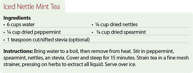 Recipe-for-Iced-Nettle-Mint-Tea