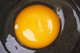 Eggs and Cholesterol: The Good and Not So Good of Eating Eggs and Other Foods High in Cholesterol