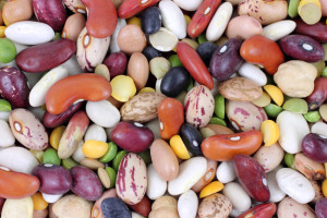 high-fiber beans