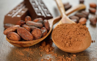 Surprising Cocoa Benefits Include Heart Health and Prediabetes Improvement