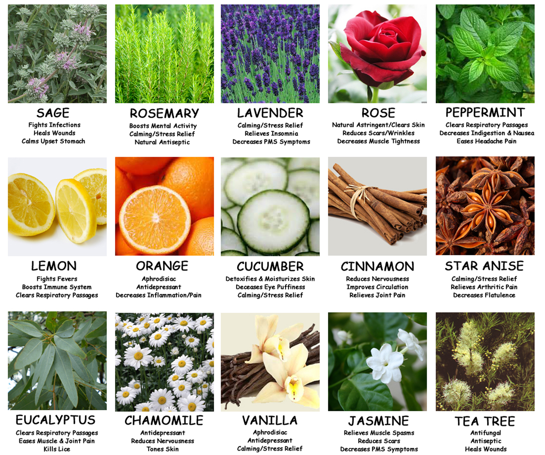 Aromatherapy Essential Oil Chart