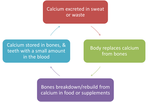 Calcium in the Body