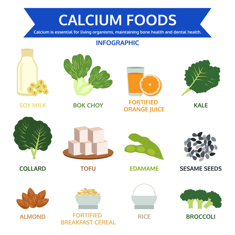 Calcium Rich Foods Chart