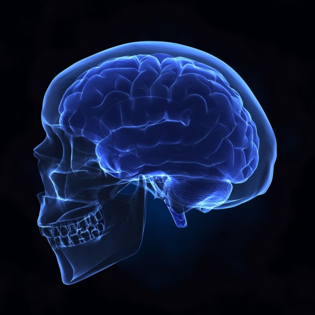 Concussions and Traumatic Brain Injuries: Treatments and Recovery ...