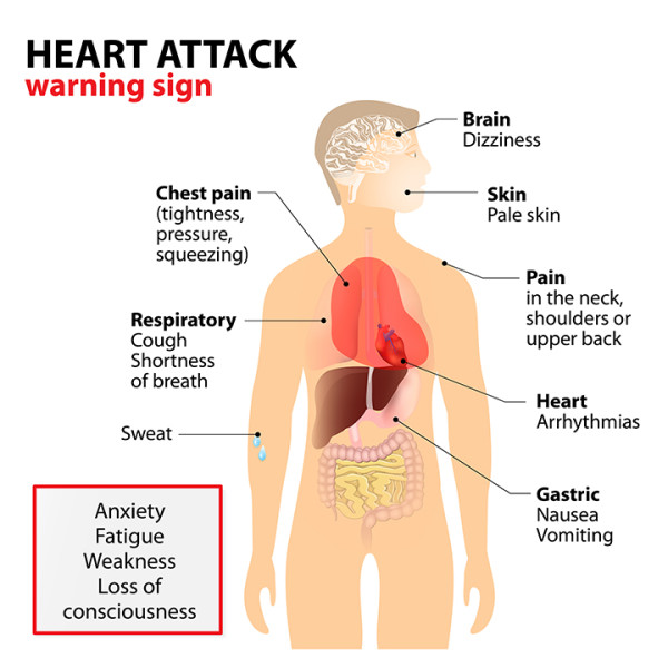 What Causes Heart Attacks In Elderly