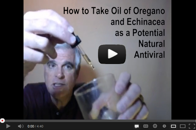  How to Take Oil of Oregano and Echinacea as a Potential Natural Antiviral