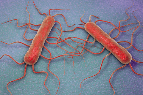 listeria symptoms virus telltale borne signs diarrhea vomiting aches fatigue include muscle