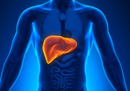 Fatty Liver Treatment with Natural Medicine Needed by 20% of US Adults