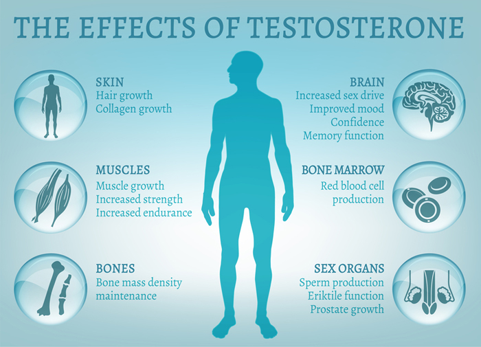 chronic prostatitis low testosterone