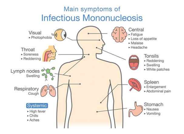 How Long Can Mononucleosis Live Outside The Body