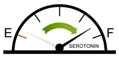 It’s Difficult to Define Serotonin—This “Brain Chemical” Has Multiple Actions All Over the Body