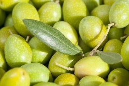 Olive Leaf Benefits: High Blood Pressure Supplement and More