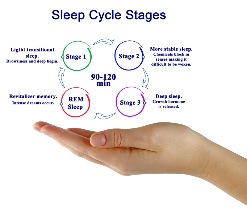 90 Minute Sleep Cycle Chart