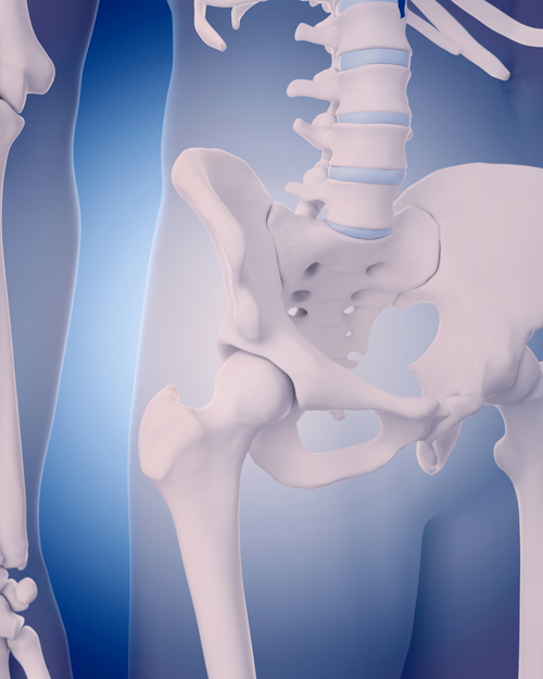 What Does Z Score Mean In Bone Density