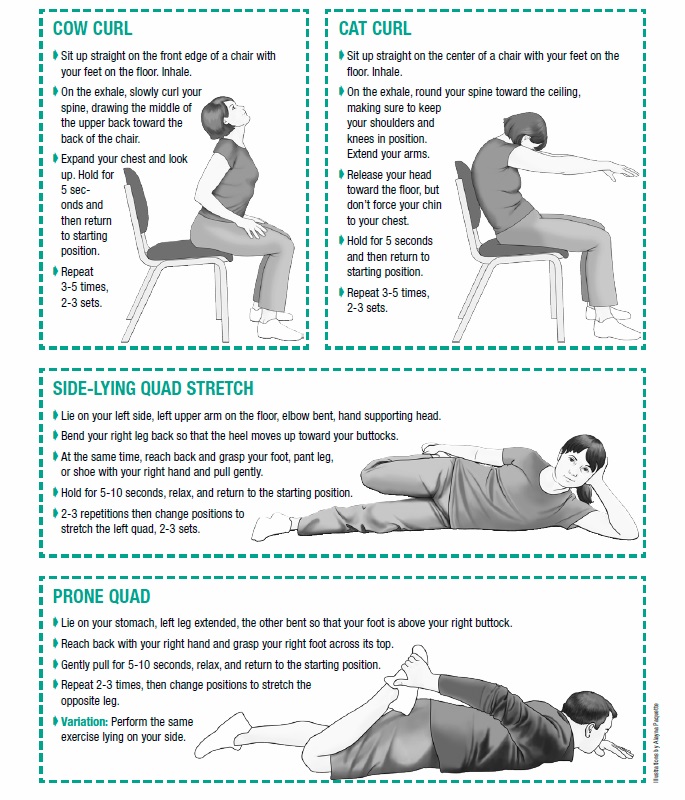Appendix Stretching and Exercises University Health News