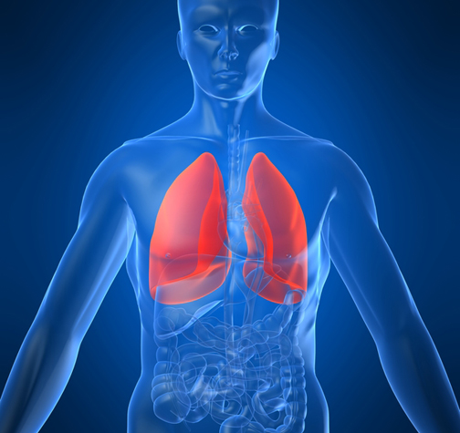 Learn These Basic Health Facts About Lungs and Breathe Easier University Health News